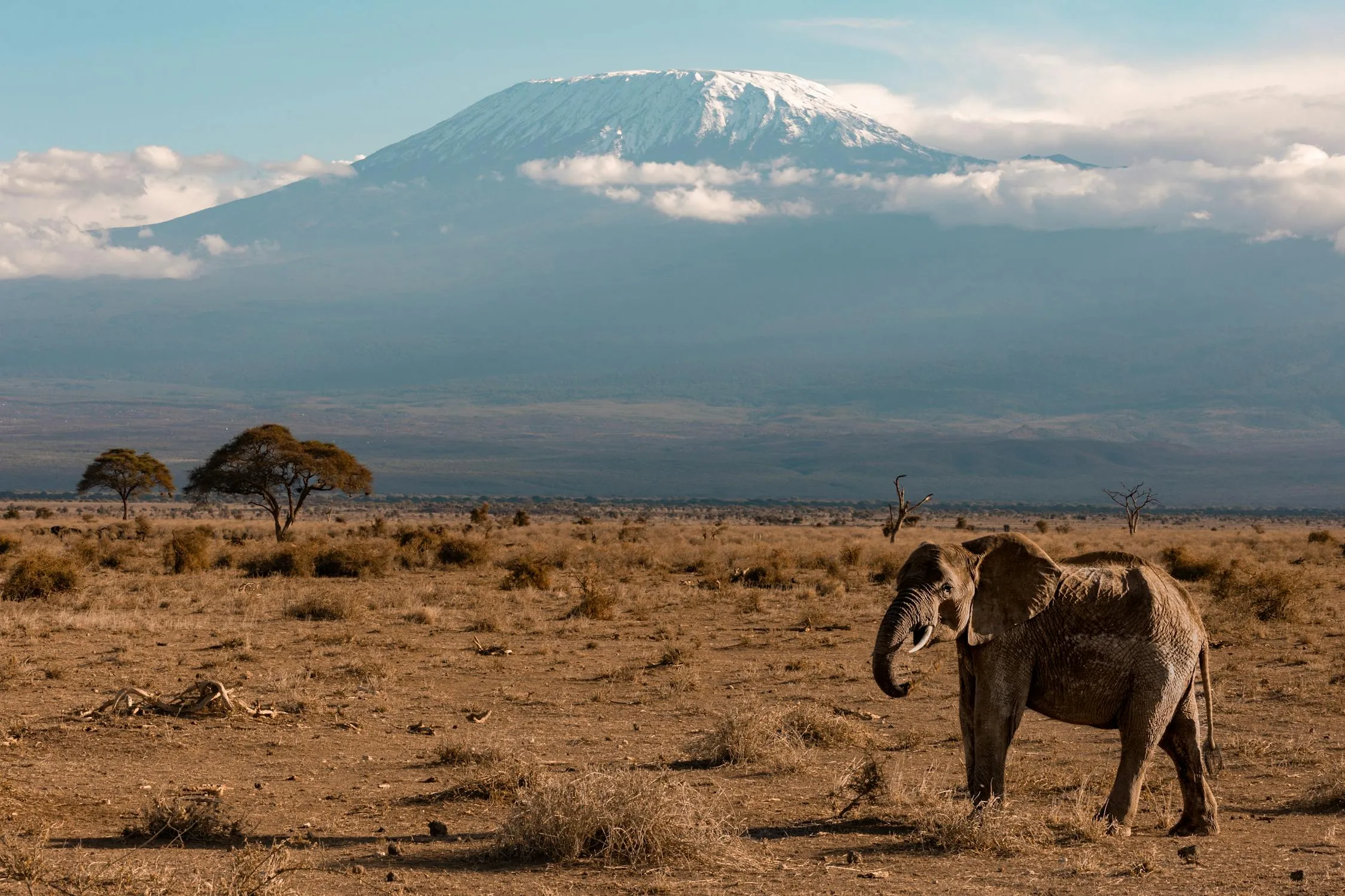 Día 1 - Llegada al Aeropuerto Internacional de Kilimanjaro