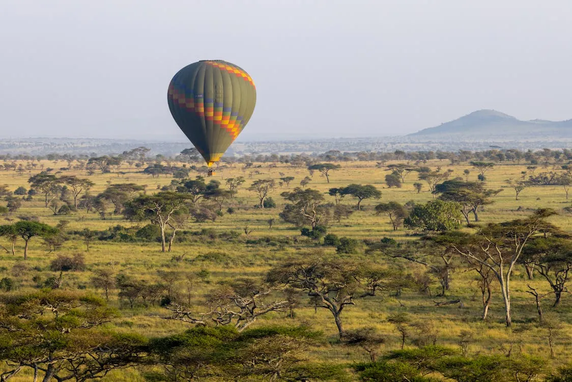 Día 7 - Serengeti - Experiencia de lujo + Paseo en globo aerostático