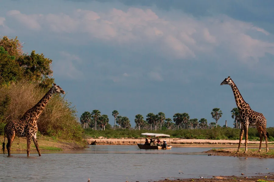 Día 3 - Safari en barco por el río Rufiji en Nyerere