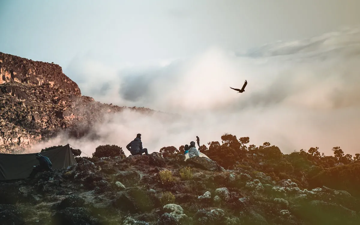 Día 3 - Machame – Shira Camp (3,750 m)