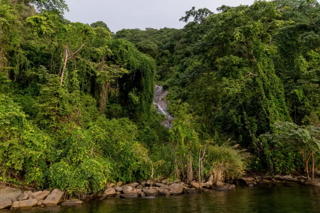 Día 7 - Retorno de Mahale a Kigoma