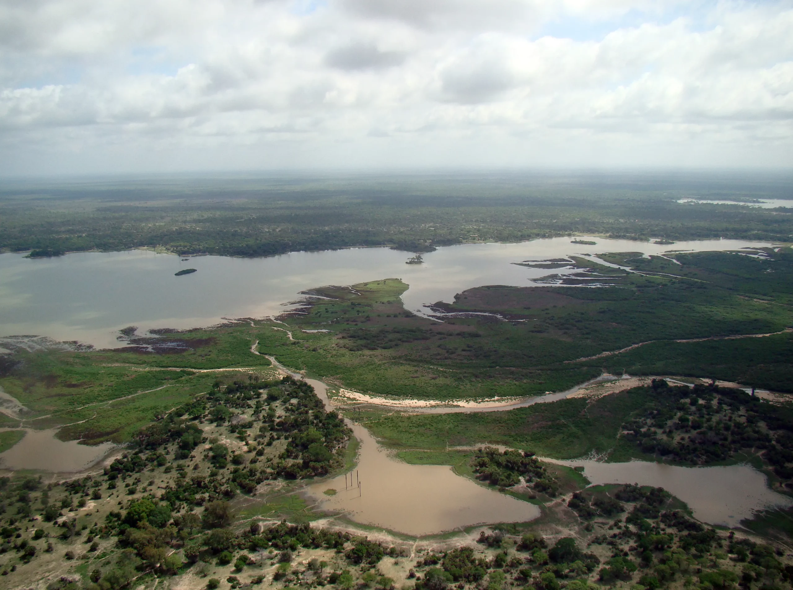 Día 2 - Vuelo al Parque Nacional Nyerere y comienzo de la aventura