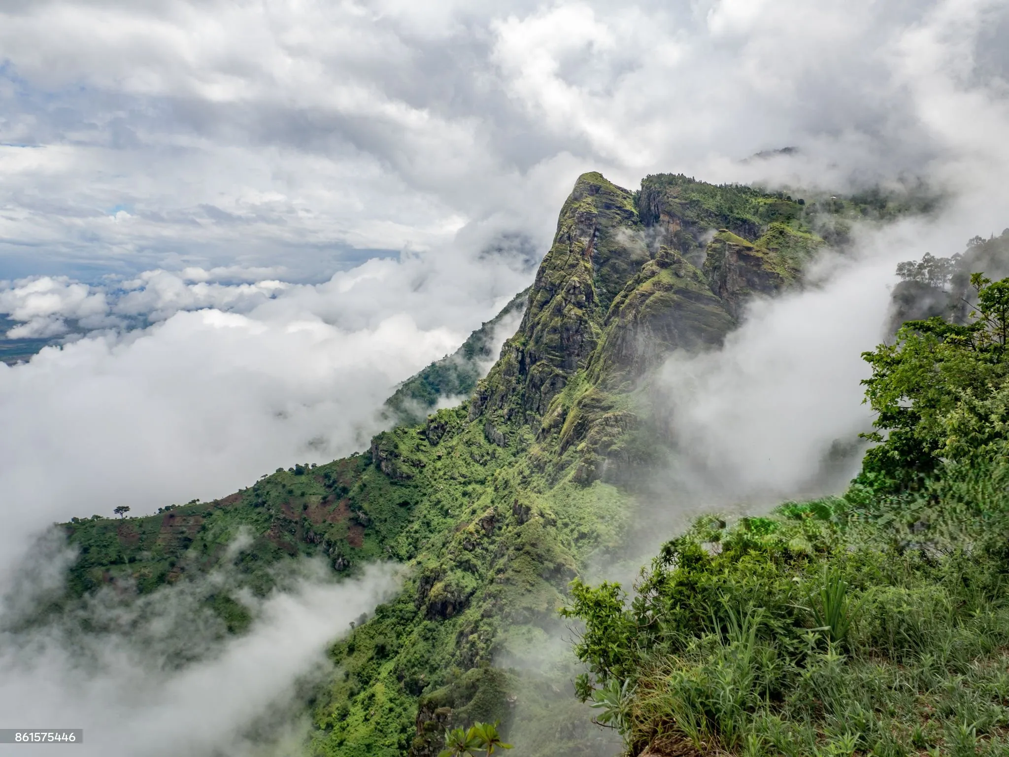 Día 3 - Montañas Usambara